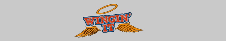 Wingin  It